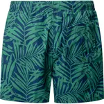 Шорты для плавания Pepe Jeans Leaf, синий - фото 4