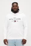 Худи Tommy Hilfiger HOODY, White - фото
