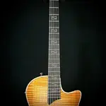Taylor Custom CT5Z Custom #27 B5027 - фото 7