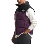 Жилет The North Face 1996 Collection, фиолетово-черный - фото 4