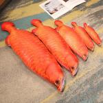 Doll Products Howard - фото 5