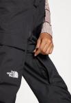 Лыжные брюки The North Face FREEDOM BIB, Black - фото 4