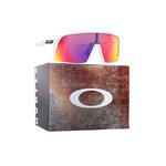 Велосипедные очки Goggles Oakley - фото 6