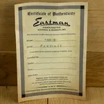 Eastman T386 Thinline Sunburst P2401266 - фото 4