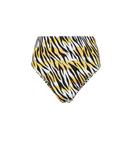 Плавки-бикини Hutton с тигровым принтом Reina Olga, Water Tiger - фото