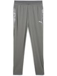 Спортивные брюки "TeamCUP Training Pants" серого цвета Puma - фото