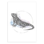 Фреска Komar Iguana Watercolor, разноцветный - фото