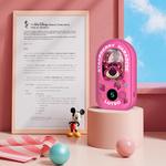 Атмосферные огни Disney - фото 5