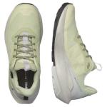 Женский Elixir Activ GORE-TEX 'Celadon Green' Salomon - фото 3