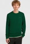 Толстовка O'Neill SMALL LOGO CREW , Emerald Envy/Green - фото