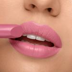 Помада Pierre Rene Royal Mat, 4.8 g - фото 2