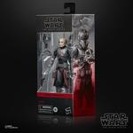 Hasbro, Star Wars Black Series, коллекционная фигурка, Echo (The Bad Batch), 15 см - фото