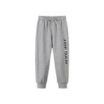 Детские штаны Jordan, серый - фото