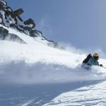 Лыжи Black Crows Draco Freebird Black Crows, Orange - фото 2