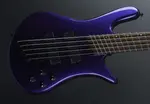 Spector NS Dimension 5 Multi Scale - Plum Crazy - фото