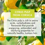 Klorane Шампунь с цитрусовой мякотью 200 мл - фото 2