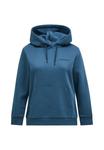 Худи Peak Performance ORIGINAL SMALL LOGO, Taubenblau/Blue - фото 5