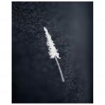 Футболка Nikin Women's Treeshirt, цвет Turquoise - фото 2