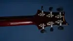 Новая модель Paul Reed Smith Custom 24 «Floyd» - фото 11
