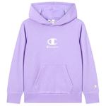 Толстовка Champion для детей - фото