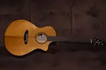 Breedlove Organic Pro Performer Thinline 2024 - Глянец - фото 4