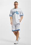 Шорты RETRO PINSTRIPE FUBU, цвет white blue - фото 2