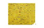 Little Face Puzzles 1000pcs 5007070 LEGO - фото