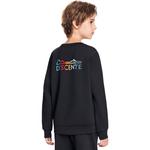 Свитшот SKI STYLE SKI STYLE детский DESCENTE, черный - фото 5