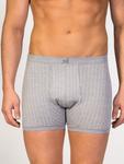 Боксеры zd ZERO DEFECTS Helios prinstriped fly front boxer, серый - фото