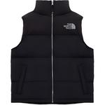 Мужской жилет THE NORTH FACE, черный - фото