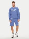 Свитшот regular fit Vector Logo 100202411 Reebok, синий - фото 2