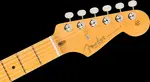 Fender American Professional Classic Stratocaster HSS - Потертый черный - фото 5