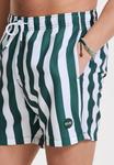 Пляжные шорты REGULAR FIT BROAD STRIPE Shiwi, темно-зеленый - фото 4