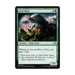 CCG Граф Моль (U), MTG - Shadows Over Innistrad - фото