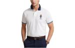 Мужская футболка поло Polo Ralph Lauren - фото