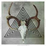 Виниловая пластинка Communist Daughter: Cracks That Built the Wall - фото