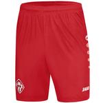 Шорты Würzburger Kickers Jako Home - фото