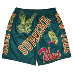 Шорты Supreme Varsity Mesh Short, Dark Green - фото
