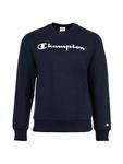 Темно-синяя толстовка Champion - фото