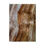 Древесная эссенция 100 мл Bvlgari - фото 4