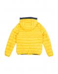 Куртка для мальчиков Woolrich, желтый - фото 2
