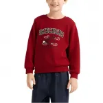 Свитшот Berry Red детский Skechers, Berry Red/03LC - фото 4