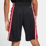 Шорты dri fit шорты Air Jordan, черный - фото 4