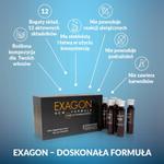 ЭКСАГОН Exagon - фото 2