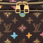 LOUIS VUITTON Сумка-бананка Tyler The Creator Rush Bumbag Chocolate Craggy Monogram - фото 6