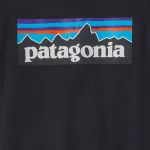 Футболка P-6 Logo Responsibili-Tee Patagonia, Black - фото 6