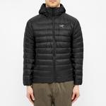 Свитшот с капюшоном Cerium Arcteryx, зеленый - фото 6