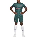 Мужское футбольное джерси Nike, цвет Green - фото 3