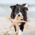 Игрушка для собак Trixie Jane Be Nordic Starfish Starfish 32 см Trixie - фото 5