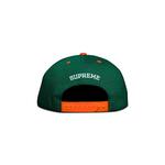 Пятипанельный логотип Supreme Bones, зеленый - фото 2